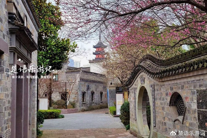 宁波这个历史街区终于火了成为赏梅胜地也很适合拍摄古风大片