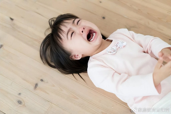 无理取闹,是孩子在毫无正当理由的情况下,故意挑衅或由于情绪波动,不