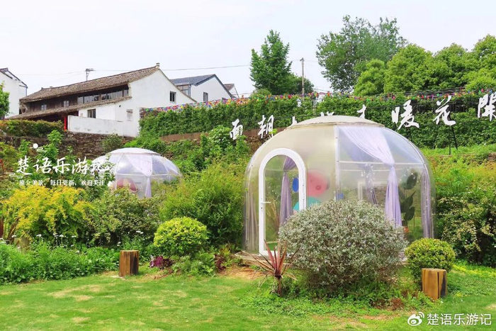 宁海这里成了"中国普吉岛"?有些夸张,但是大滨菊花海确实美