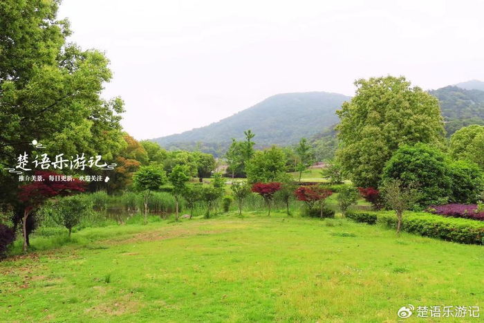 浙江宁波的湿地型露营胜地,丛林如绿野仙踪,景色宜人拍照很出片