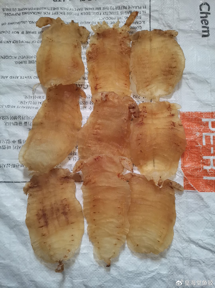 花胶掉秤多少正常鱼胶会变轻吗