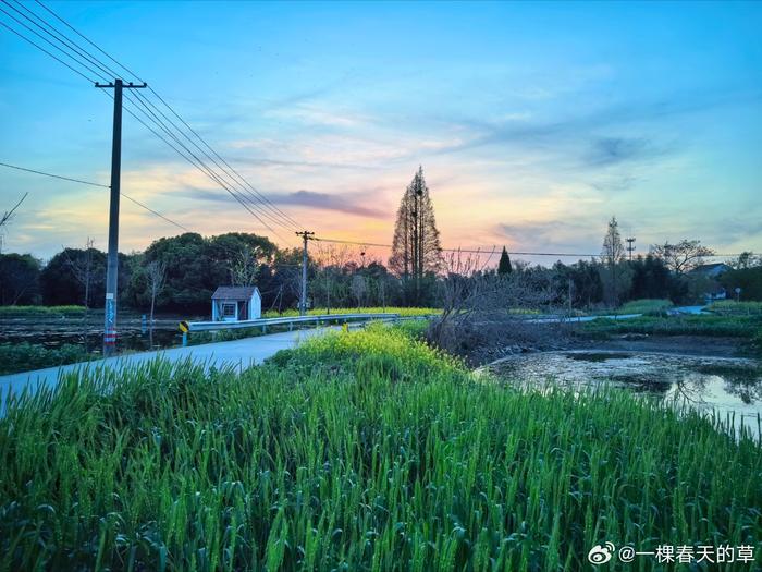 乡间田野图片大全图片