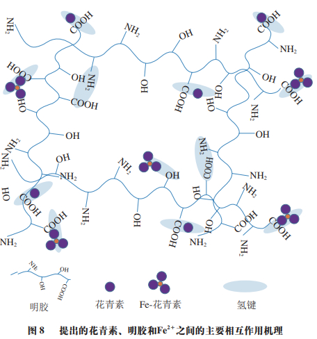 7 明胶,fe