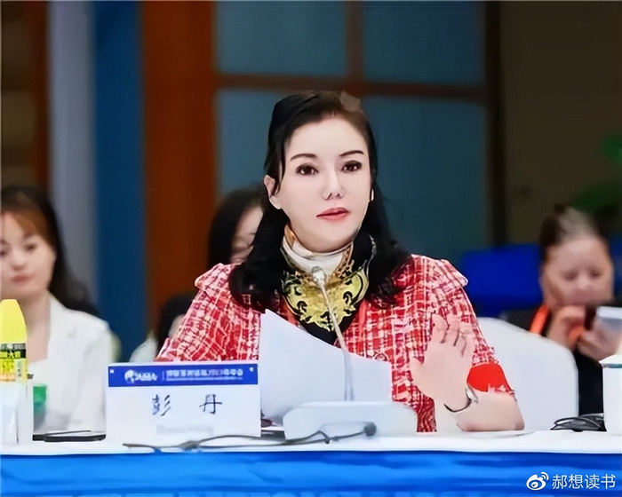 美国亚裔小姐冠军彭丹,拍过多部风月片,以研究院院长身份亮相博鳌会__财经头条__新浪财经