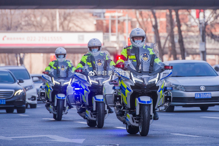 今天,天津公安铁骑护卫机动队五周年
