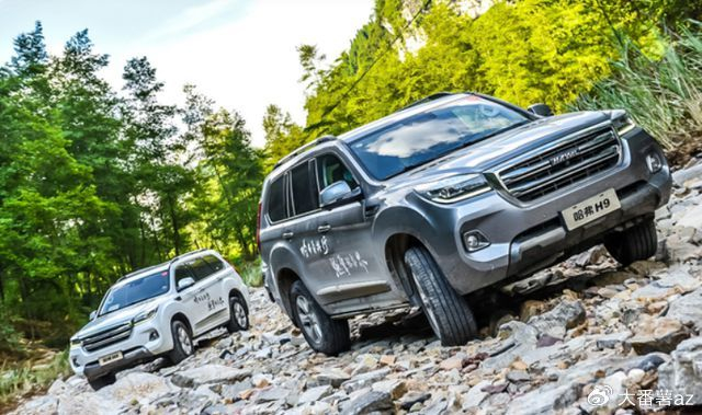 全新哈弗h9实车现身车长5米墨绿色涂装配24t柴油四驱