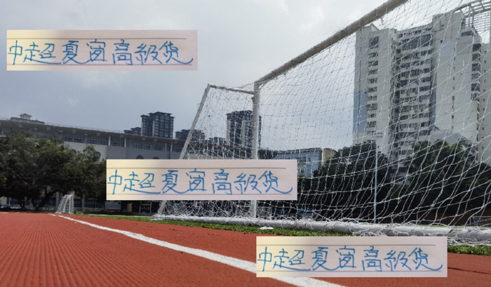 申花阿苏埃 浙江米特里策 深圳韦斯利 都是今年夏窗引进的高级货