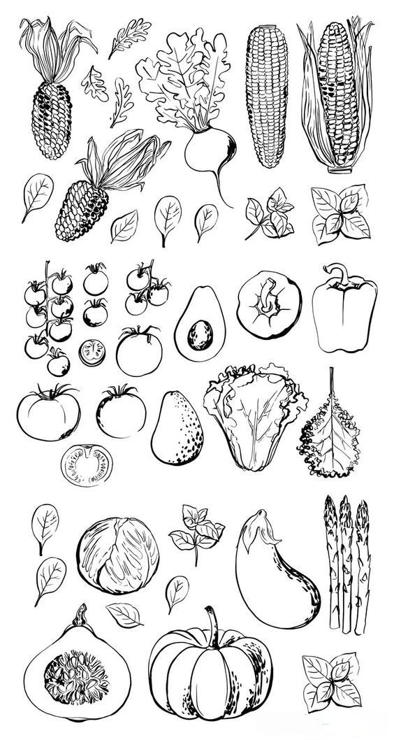 果蔬简笔画线稿～无聊的时候画画挺好