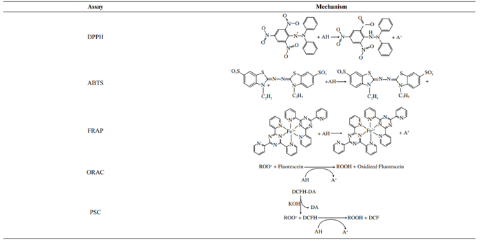 化学测定方法原理检测多酚抗氧化活性传统的化学方法包括dpph,abts