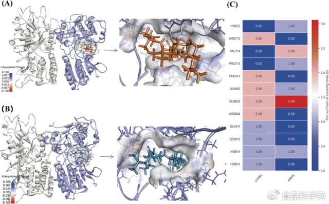 研究进展 | 鲜味肽的开发及其机制分析