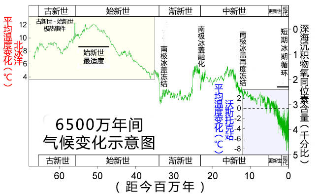 世界上最大的蛇被发现科学家可以吞下一头牛