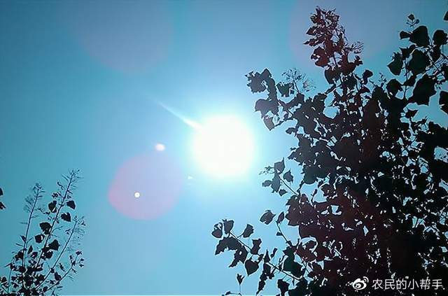 伏天氏最新章节