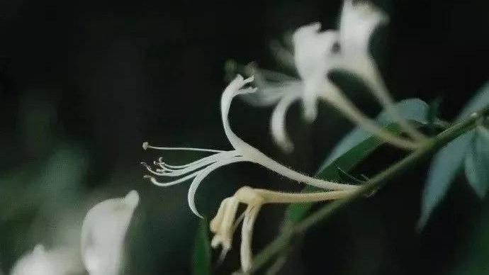 原创|什么东西都不舍得扔的人，大多会有这样的命运，很准！