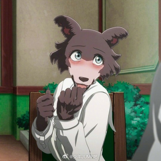 2月12日是「beastars」朱诺的生日