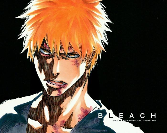 『死神 bleach』黑崎一护 7/15 生日