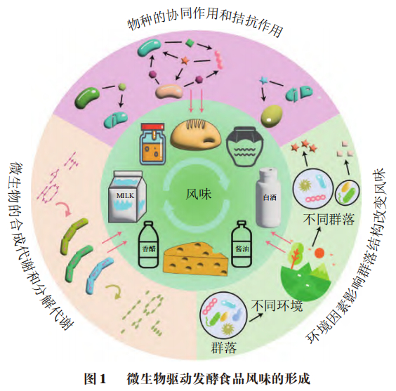 酶制剂行业动态一览：生物技术新篇章