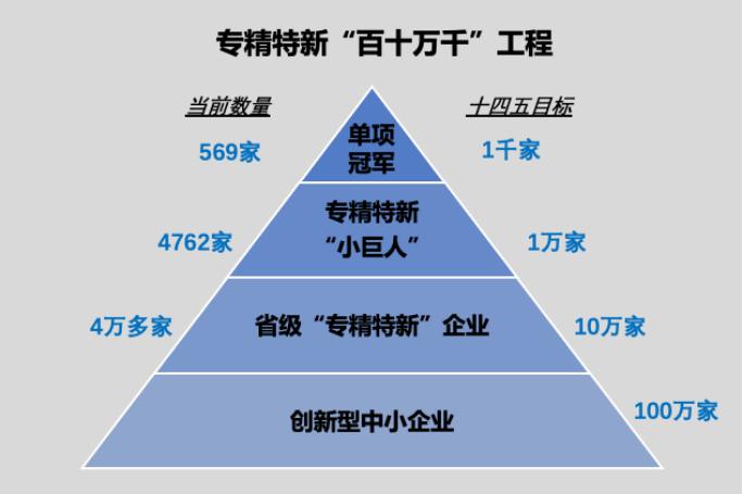 小巨人企业的认定条件 (小巨人企业的认定条件 国家级)