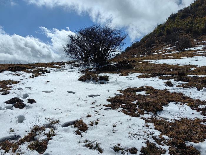 临沧大雪山乡图片