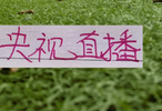  12轮下来！央视CCTV直播领头羊成都7场 全部保持不败！拿下19分