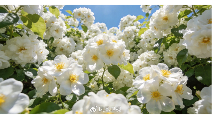 夜读丨2026过半：不必完美，你已经超棒了