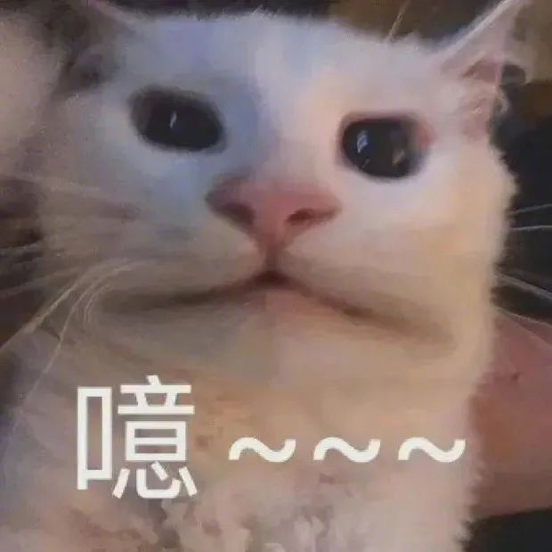 上次的表情包不够好看?我要放大招了!