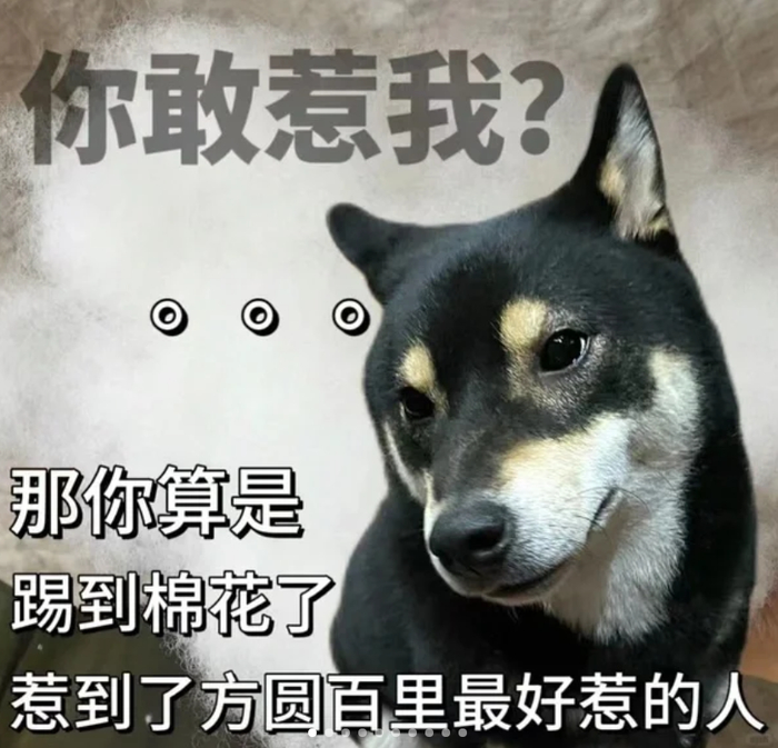 敢惹我,你算是踢到棉花 捏到软柿子了