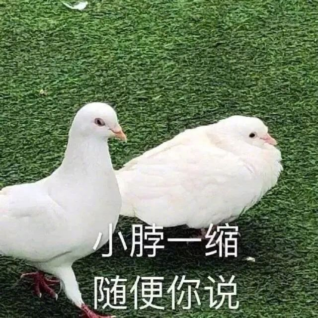 吹爆这组表情包 拿图请顺便吱一声 很难有动力发图了 更多表情包请来