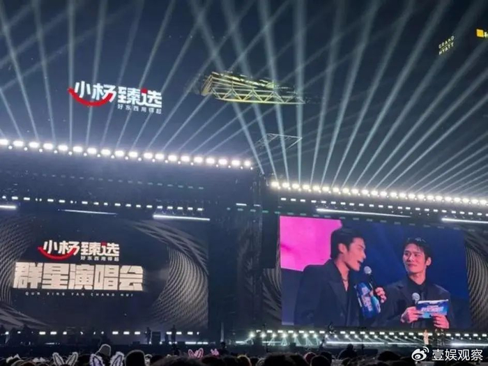 当辛巴小杨哥们决定退休