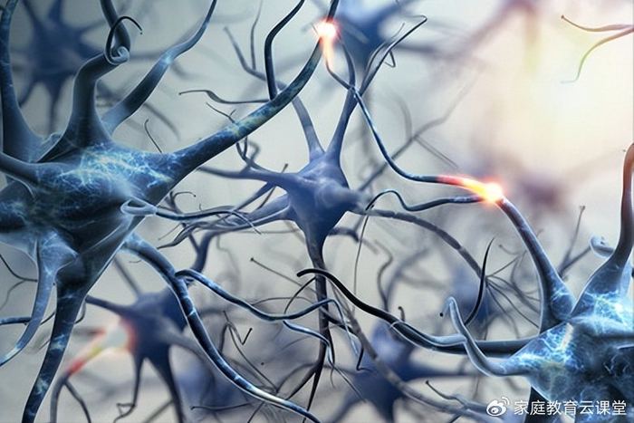 脑科学研究发现:父母做好这3点,孩子过了10岁,大脑也会变聪明|大脑