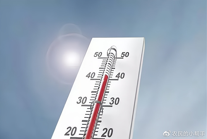 7月11日入伏,今年三伏天会更炎热吗?3点特殊不一般,早做准备