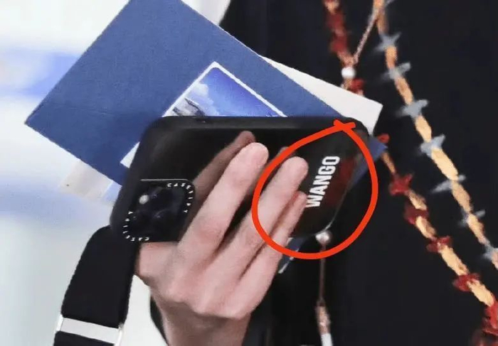 产后复出去录节目,被粉丝围堵|陈哲远|王鸥|何九华_新浪新闻