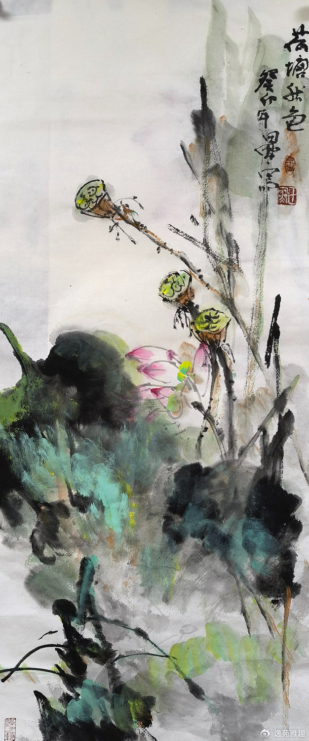 【画作赏析】田寒花鸟画韵,梅荷牡丹生辉,艺术之美如诗|大自然|牡丹