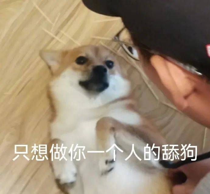 精选表情包只想做你一个人的舔狗拿图点赞吱声