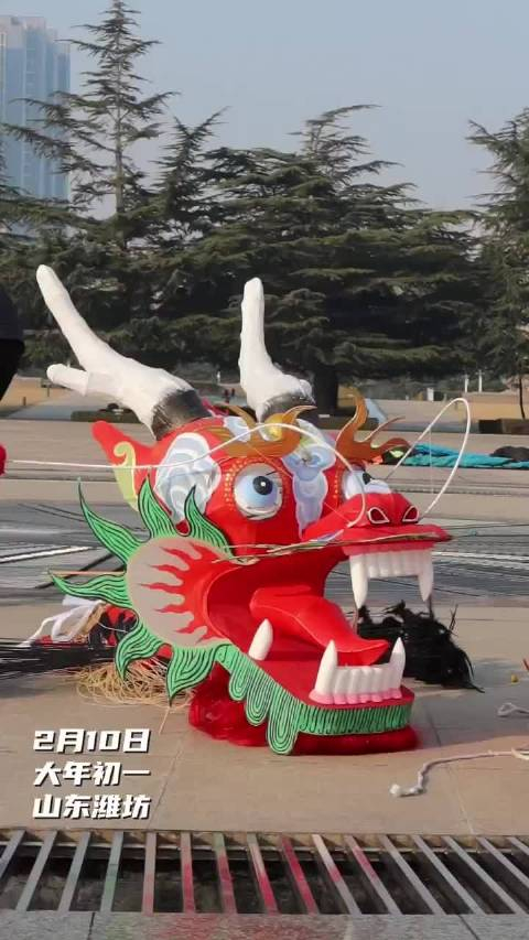 果然视频龙头蜈蚣贺新春潍坊市举办主题风筝放飞活动