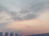 长沙草莓音乐节上，徐佳莹、周柏豪等多位明星赞叹长沙的晚霞真美