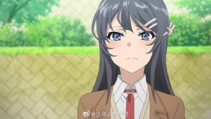 12月2日是「青春笨蛋少年不做兔女郎学姐的梦」樱岛麻衣的生日