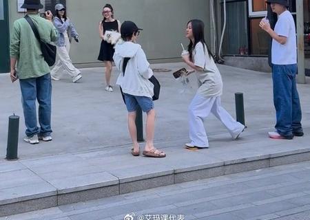 杜江霍思燕带着嗯哼，贾乃亮与前妻带着甜馨，两家人一起出游，看起来很温馨