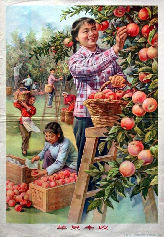 一组五十年代宣传画,寓意美好,迎接2024年的曙光