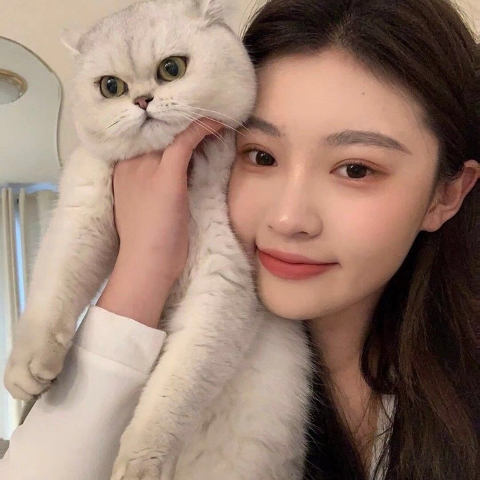 一组抱着猫的女生头像