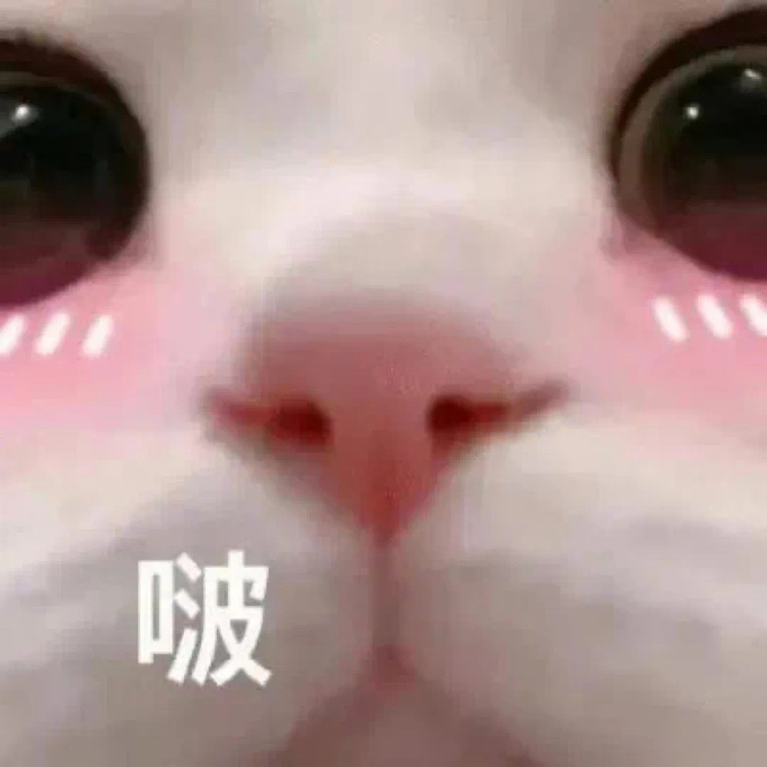 搞笑女生必备表情包 拿图吱一声噢!