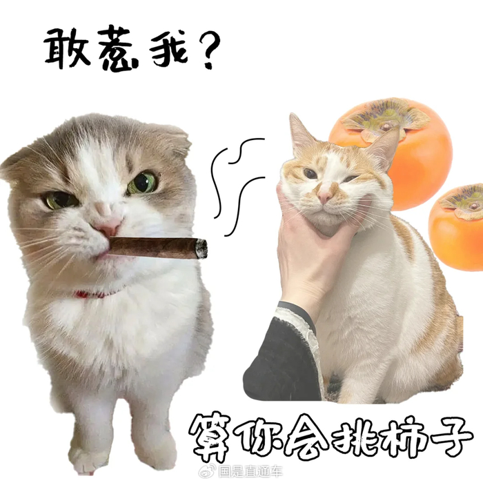 敢惹我,你算是踢到棉花 捏到软柿子了