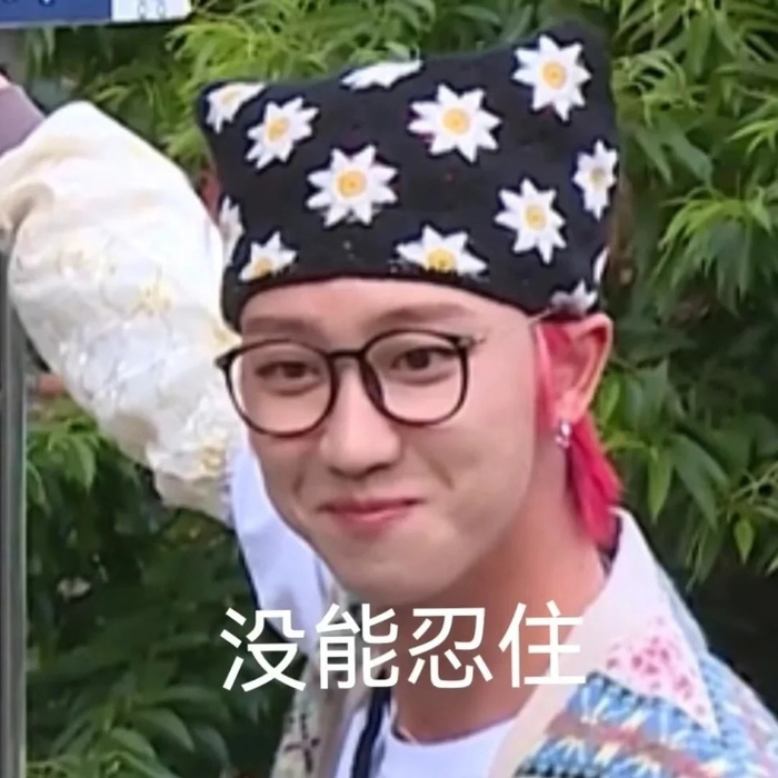 seventeen表情包,哪位有才的网友做的,笑死了哈哈哈