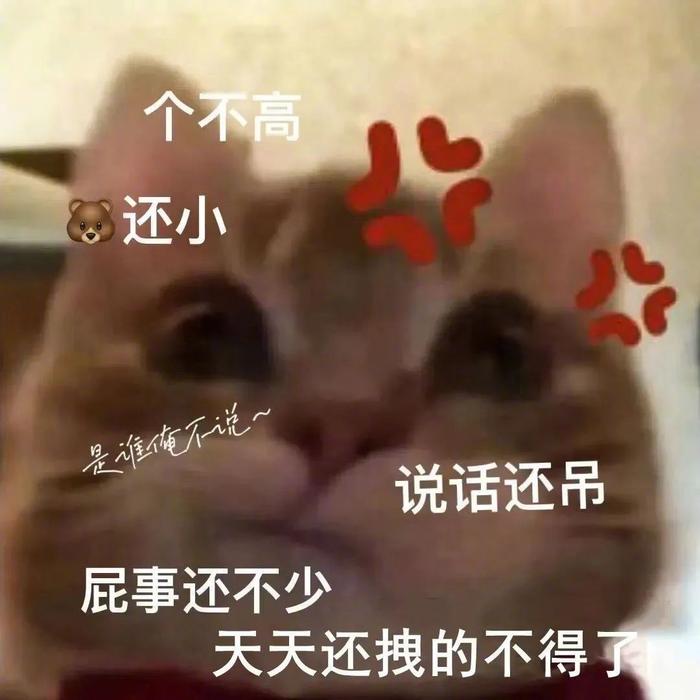 您的表情包更新了