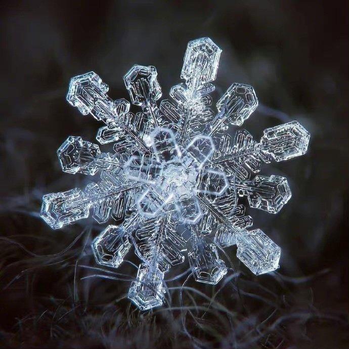 雪花微距图片