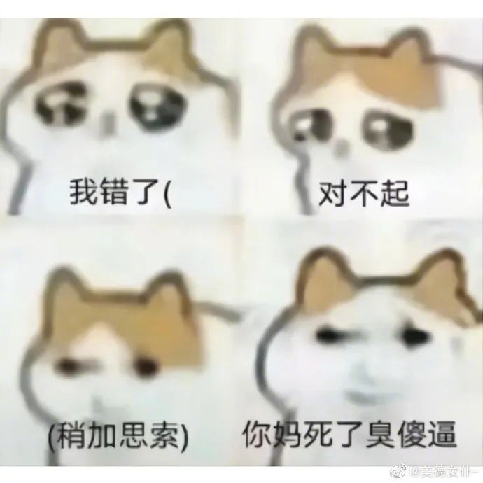 表情包精选集,让聊天更有趣!