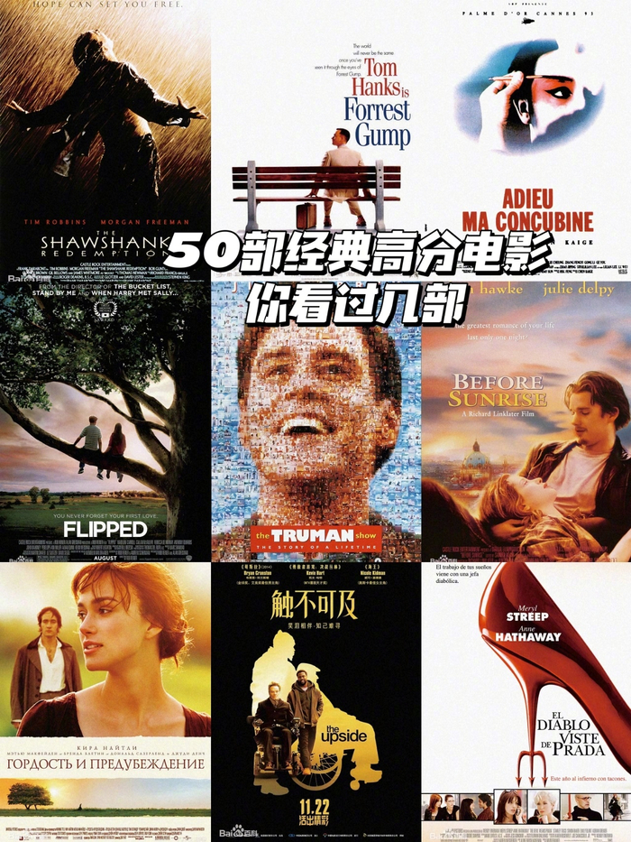 甄子丹所有出演过的电影 甄子丹汪诗诗怎么认识的