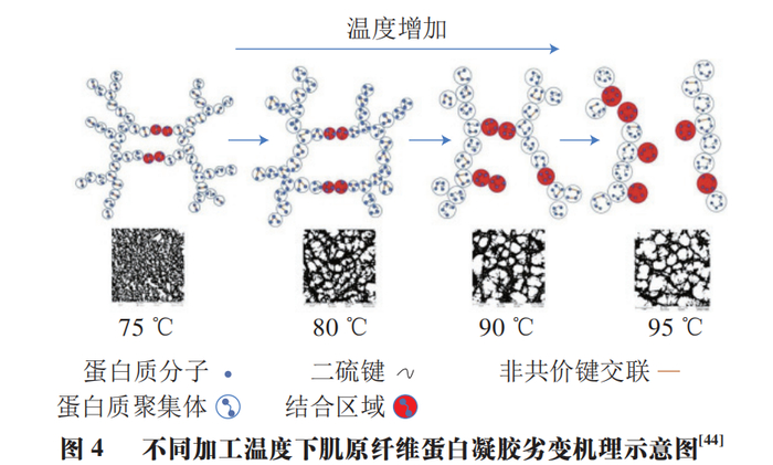 聚氨酯夹芯板安装注意事项 简易折叠单人床如何选购