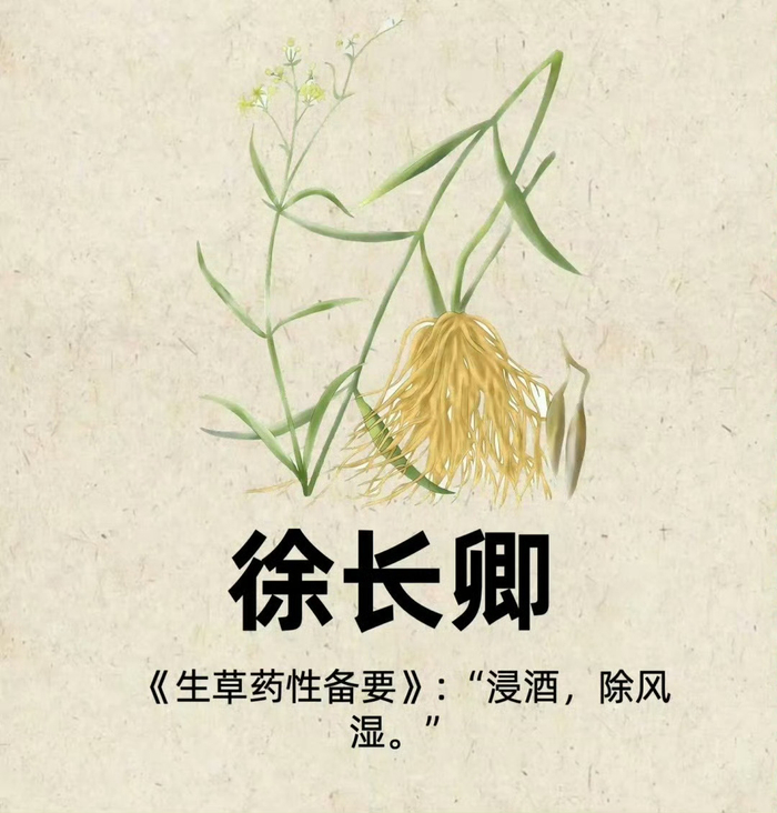 " 常见中草药图谱 .."