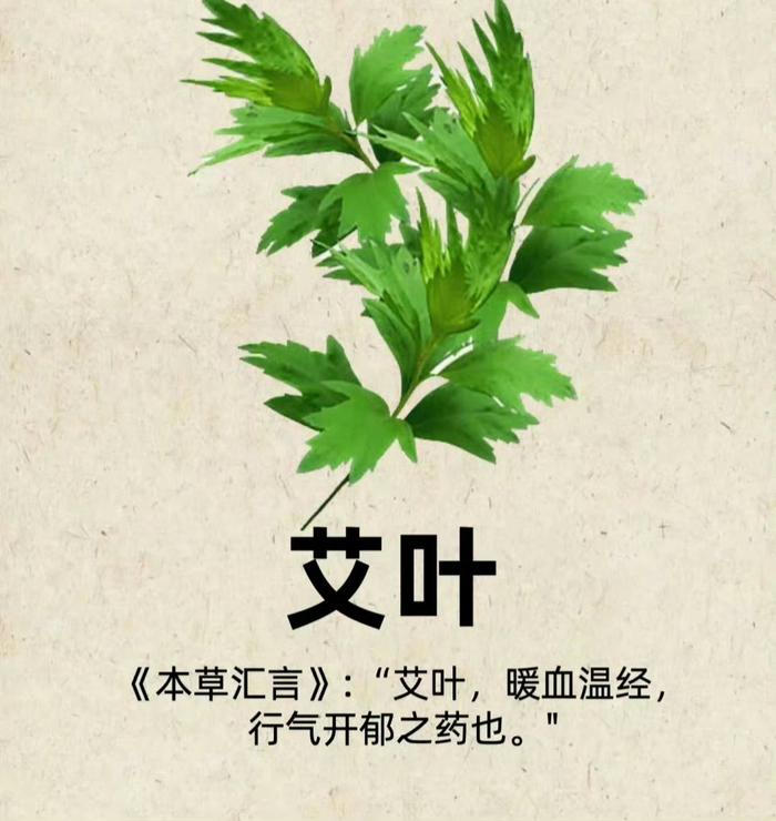 常见中草药图谱