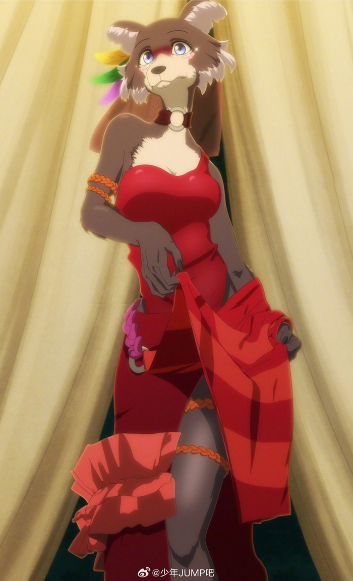 2月12日是「beastars」朱诺的生日